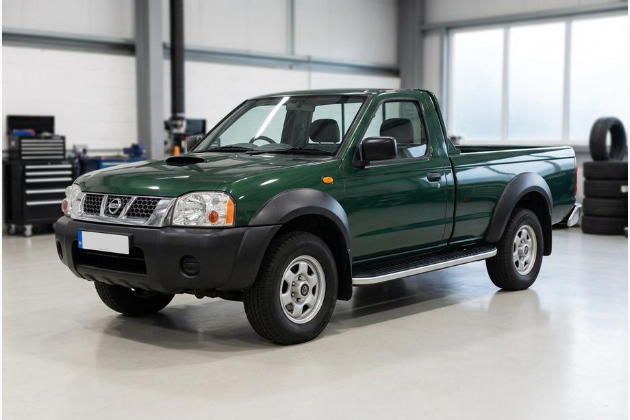 Nissan NP300 1999-2015 Seitenschweller Tayga Grey (2 Stk., Aluminium) Image