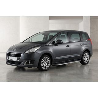 Trittbretter Duru (2 Stk., Aluminium) Peugeot 5008 2009-2016 Foto 1