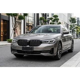 Diamond Silver Nieren (2021-2023) BMW 5er G30/G31 2017–2023 Foto 1
