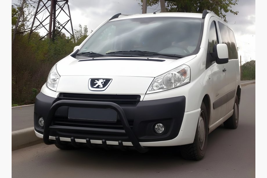 Fiat Scudo 2007-2015 Frontbügel WT003 Schwarz Edelstahl Image
