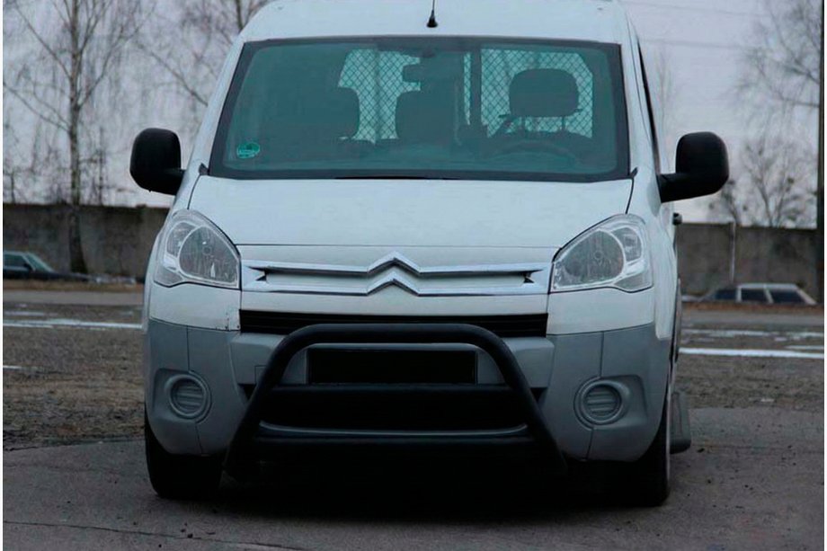 Peugeot Partner Tepee 2008-2018 Frontbügel WT022 Schwarz (Edelstahl) Image