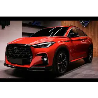 LRT-Design Bodykit (für 2021-2024) Foto 2