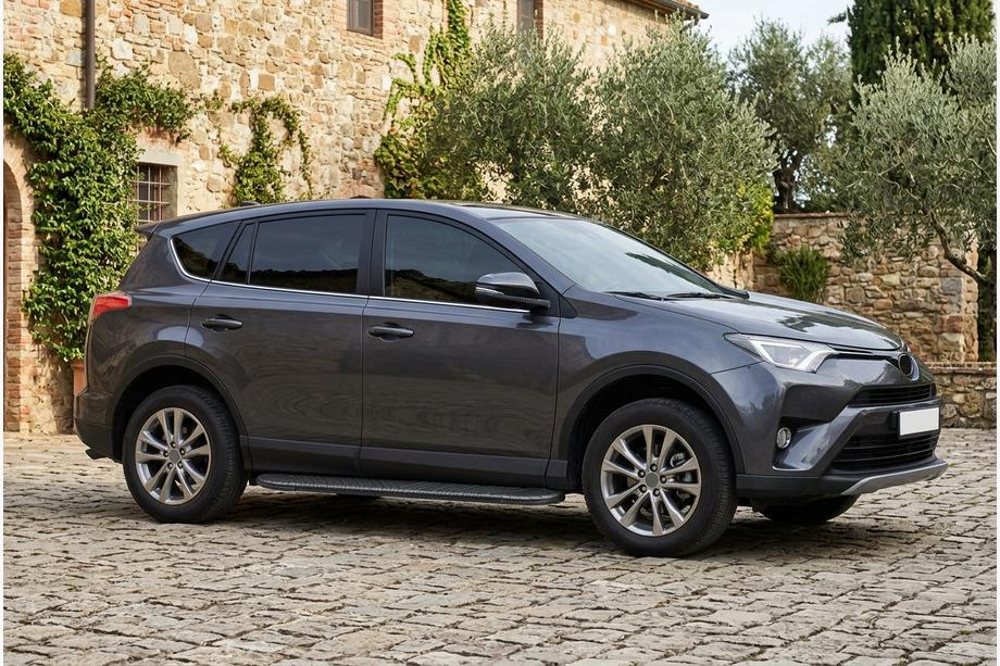 Toyota Rav 4 2013-2018 Seitenschweller Bosphorus Black (2 Stk., Aluminium) Image