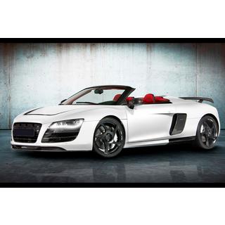 MNSR Carbon Bodykit (für Spyder) Foto 3