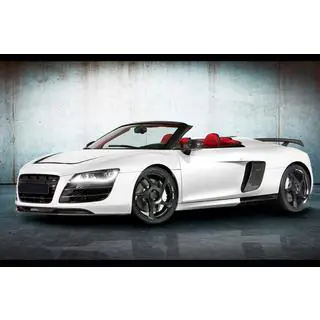 MNSR Carbon Bodykit (für Spyder) Foto 3