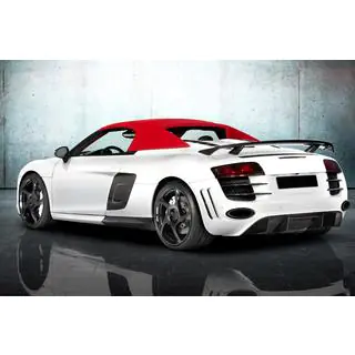 MNSR Carbon Bodykit (für Spyder) Foto 2