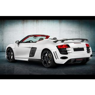 MNSR Carbon Bodykit (für Spyder) Foto 4
