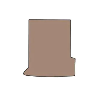 Gummi-Kofferraummatte (für i5 G60E, beige) Foto 1