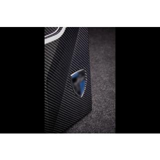 LRT Kotflügelverkleidungen (2023+, Carbon) BMW X6 G06 2019–2027 Foto 3