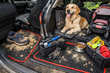 Kinder, Hund, Alltagsfahrten: So schützen Sie den Innenraum vor Sand und Haaren – Top-Lösungen mit EVA-Fußmatten Nr.1 Foto 1