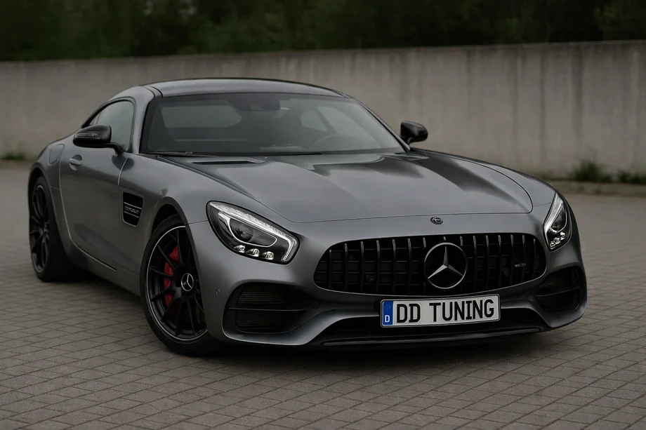 Mercedes AMG GT C190/R190 2014-2022 Frontgrill GT Panamericana Black (2014-2017) Image