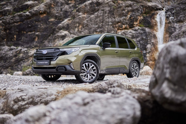 Subaru Forester Hybrid 2025: Test der Hybridversion des SUVs
