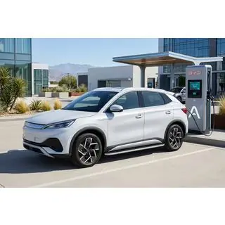 Seitliche Trittbretter Tayga Grey (2 Stk., Aluminium) Foto 1
