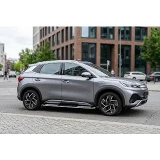 Seitliche Trittbretter Tayga V2 (2 Stk., Aluminium) Foto 1