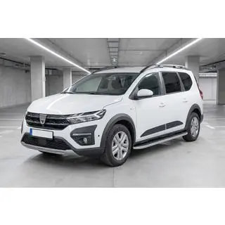 Seitliche Trittbretter Tayga Grey (2 Stk., Aluminium) Foto 1