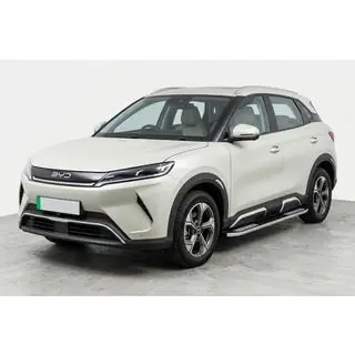 Seitliche Trittbretter Tayga V2 (2 Stk., Aluminium) Foto 1