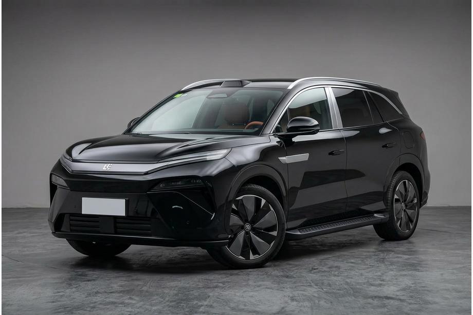 BYD Tang 2025– Allmond Black Seitenschweller (2 Stk., Aluminium) Foto 1