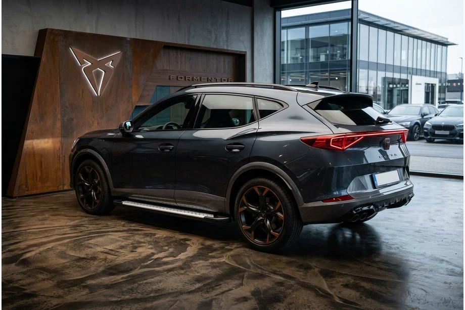 Cupra Formentor 2020- Seitliche Trittbretter Allmond Grey (2 Stk., Aluminium) Image