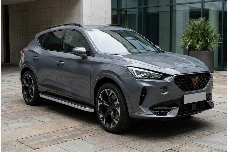 Cupra Formentor 2020- Seitenschweller Tayga Grey (2 Stk., Aluminium) Image