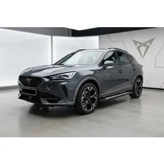 Seitliche Trittbretter Tayga V2 (2 Stk., Aluminium) Cupra Formentor 2020- Foto 1