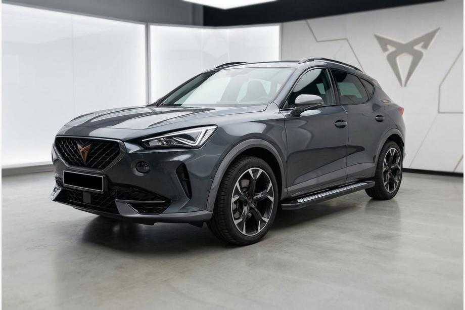 Cupra Formentor 2020- Seitliche Trittbretter Tayga V2 (2 Stk., Aluminium) Foto 1