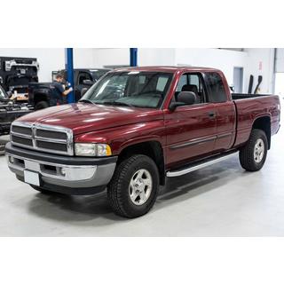 Seitliche Trittbretter Tayga Grey (2 Stk., Aluminium) Dodge RAM (BR/BE) 1994–2002 Foto 1