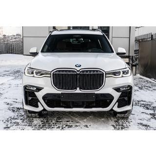 Nierengrills 1 Bar LED (2019-2022, Schwarz Hochglanz) Foto 1
