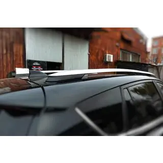 Dachreling grau OEM (Aluminium) Foto 3