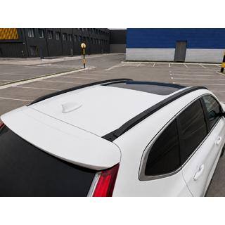 Integrierte Dachreling schwarz OEM (Aluminium) Foto 1