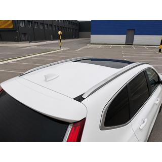 Integrierte Dachreling grau OEM (ABS-Kunststoff) Foto 3