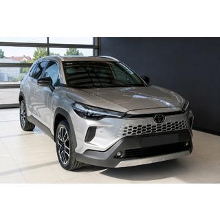 Integrierte Dachreling grau OEM (Aluminium, Montage mit Kleber)