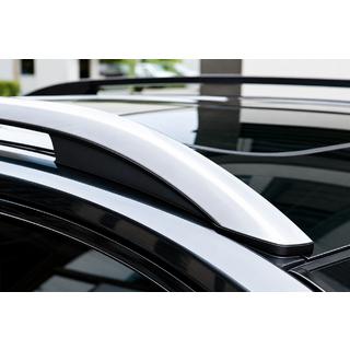 Dachreling grau OEM (Aluminium) Foto 1
