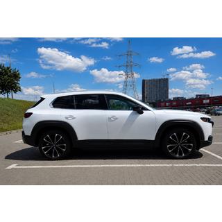 OEM Dachreling grau (Aluminium, Montage mit Kleber) Foto 1