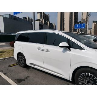 Integrierte Dachreling grau OEM (Aluminium, Montage mit Kleber) Denza D9 2022–