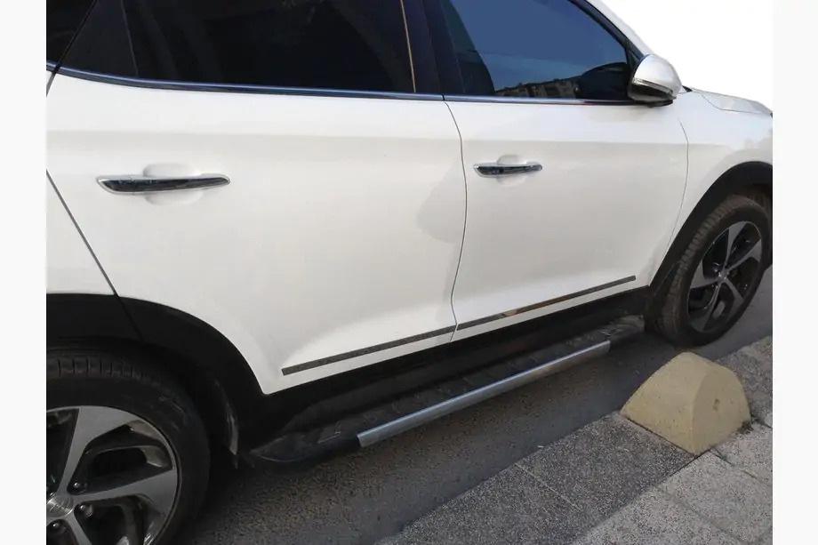 BYD Song Plus EV/Seal U 2020– Türleisten Edelstahl schmal 4 Stück Image