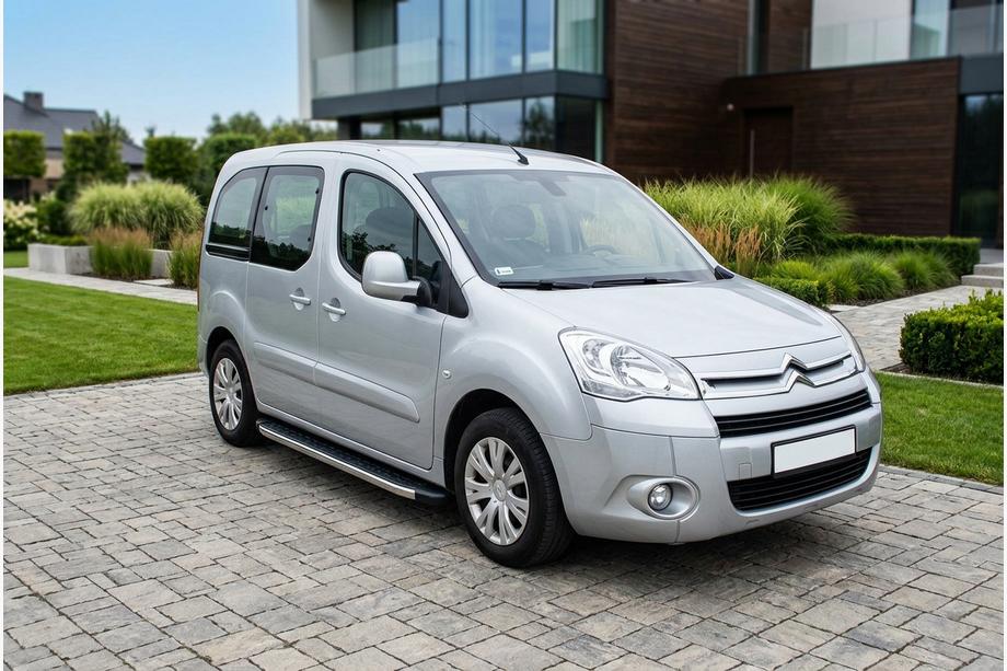 Citroen Berlingo 2008-2018 Trittbretter BlackLine (2 Stk, Aluminium) Image