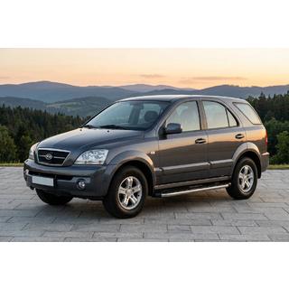 Trittbretter BlackLine (2 Stk, Aluminium) Foto 1