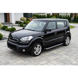 Trittbretter BlackLine (2 Stk, Aluminium) Foto 1