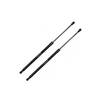 Gasdruckdämpfer für Motorhaube (2 Stk.) Lexus LX570/450d 2008-2022
