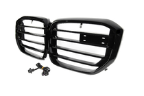 BMW X5 G05 2019–2026 Nierengrills X5M F95 Design LED (2023+) Foto 7
