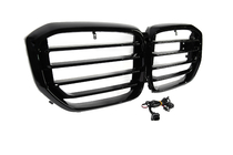 BMW X5 G05 2019–2026 Nierengrills X5M F95 Design LED (2023+) Foto 8