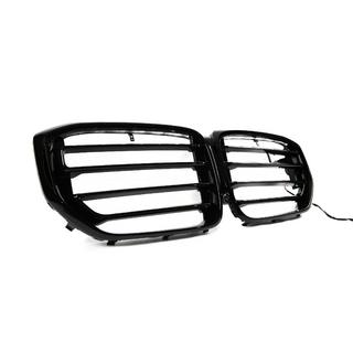 Nierengrills X5M F95 Design LED (2023+) BMW X5 G05 2019–2026 Foto 3