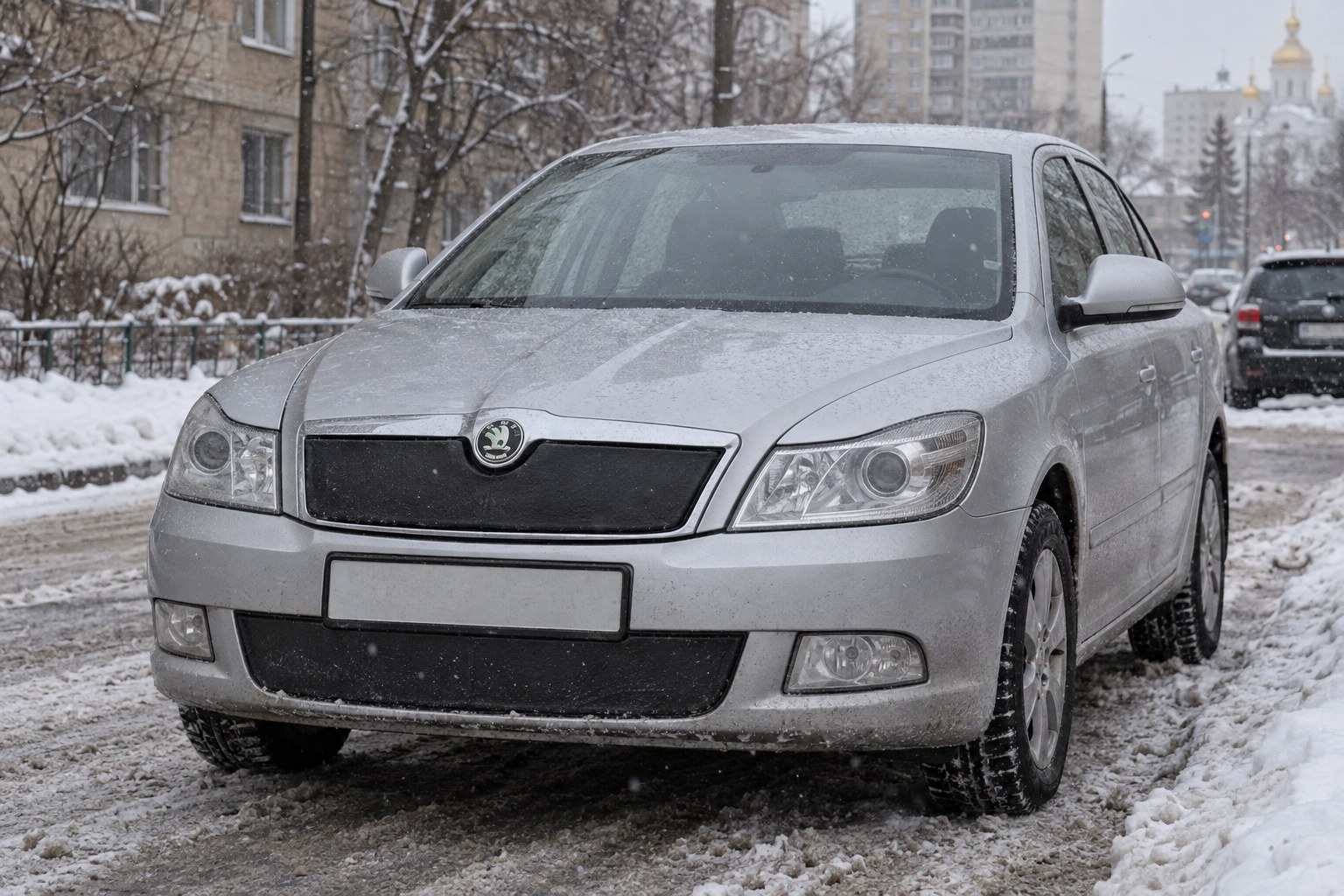 Winterabdeckung für Skoda Octavia A4 Tour, A5, A7 und Superb: Generation richtig wählen