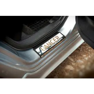 Einstiegsleisten Edelstahl Carmos 4 Stück Foto 4