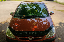 Hyundai Getz 2002- Spiegelkappen Aufsätze oben (2 Stk., Kunststoff) Foto 3