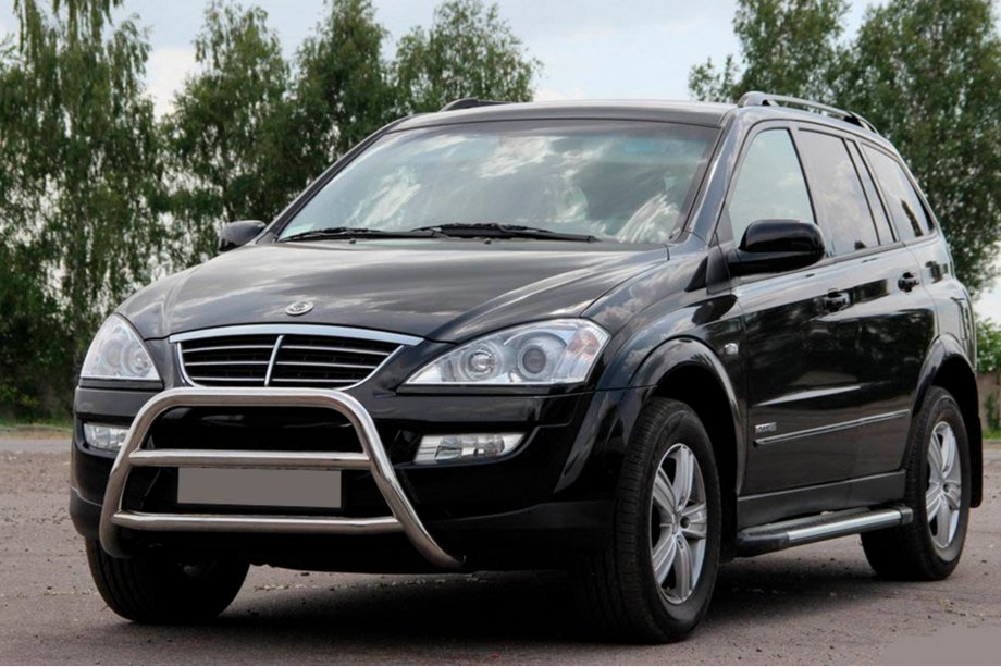 SsangYong Kyron 2005-2014 Frontbügel WT022 Edelstahl Image