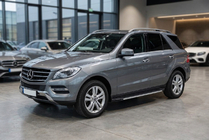 Mercedes GLE/ML class W166 2011-2018 Seitenschweller Maya V1 (2 Stk., Aluminium) Foto 1
