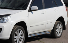 Chery Tiggo 1 2005-2016 Seitenschweller Premium (2 Stk., Edelstahl) Foto 1