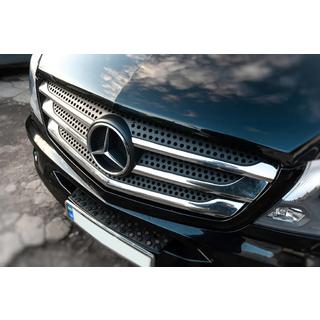 Chrom Kühlergrill Blenden (2013↗, Edelstahl) Mercedes Sprinter W906 2006–2018 Foto 4
