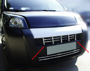 Citroen Nemo 2007-2017 Kühlergrill Abdeckung (13-tlg., Edelstahl) Foto 1